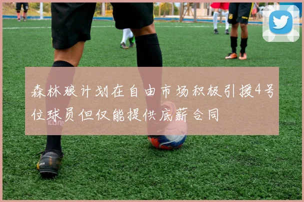 森林狼计划在自由市场积极引援4号位球员但仅能提供底薪合同